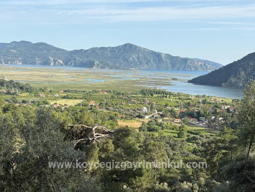 Field For Sale in Çandır Nbh. Köyceğiz - Field Zoned - 1.252 m²