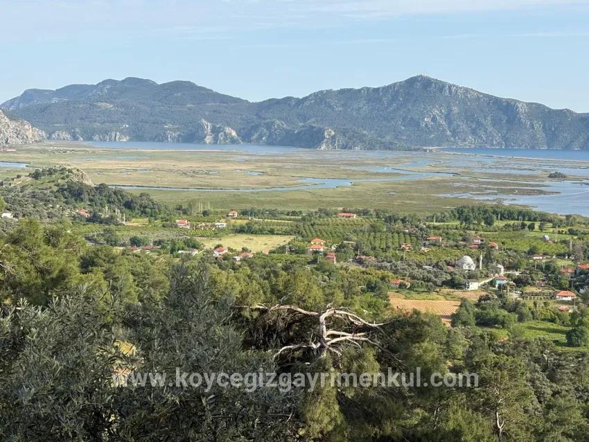 Field For Sale in Çandır Nbh. Köyceğiz - Field Zoned - 1.252 m²