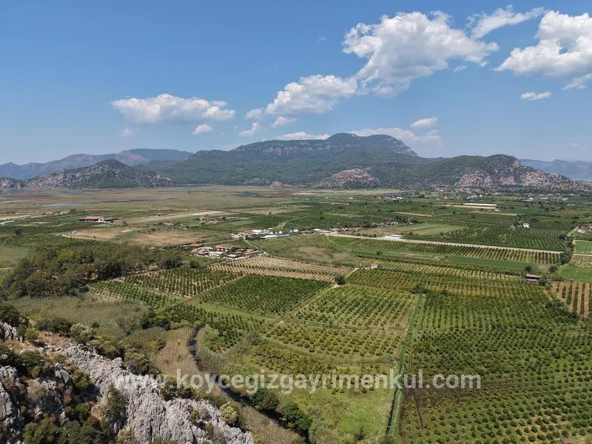 Field For Sale in Dalyan Nbh. Ortaca - Field Zoned - 20.786 m²