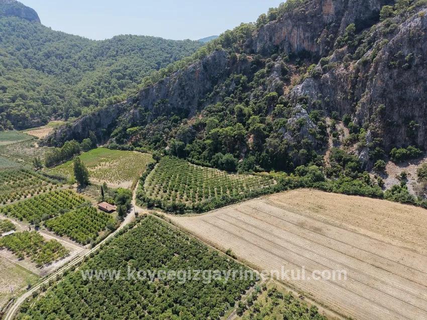 Field For Sale in Dalyan Nbh. Ortaca - Field Zoned - 20.786 m²