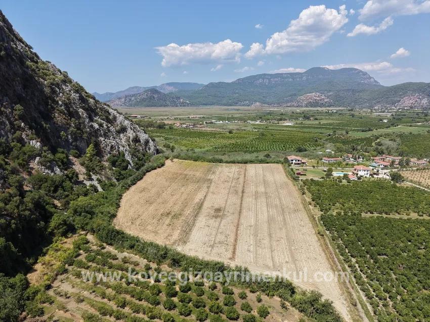 Field For Sale in Dalyan Nbh. Ortaca - Field Zoned - 20.786 m²