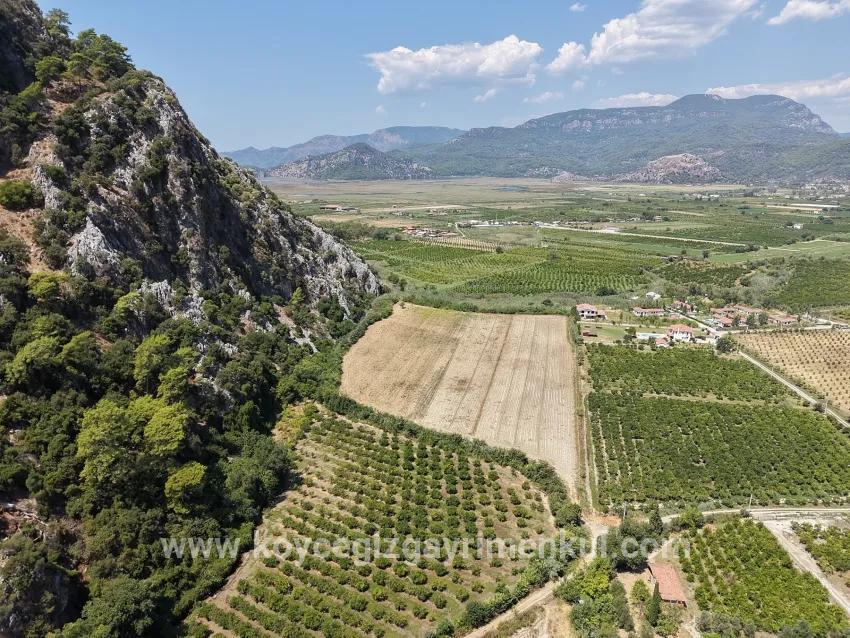 Field For Sale in Dalyan Nbh. Ortaca - Field Zoned - 20.786 m²