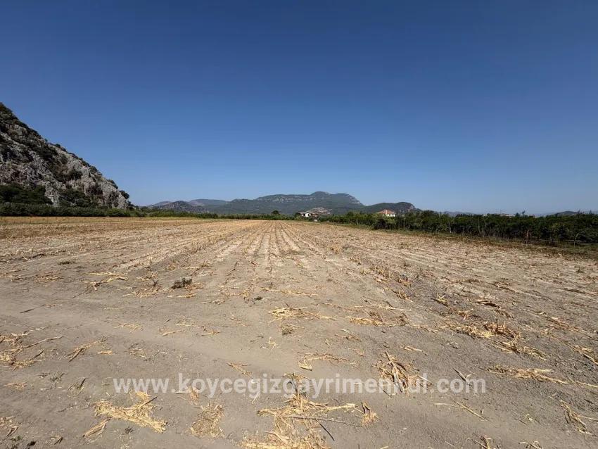 Field For Sale in Dalyan Nbh. Ortaca - Field Zoned - 20.786 m²