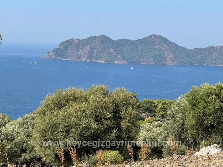 Field For Sale in Çandır Nbh. Köyceğiz - Field Zoned - 21.000 m²