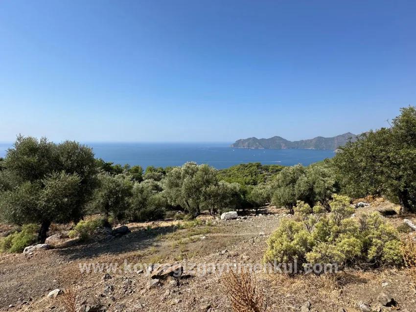Field For Sale in Çandır Nbh. Köyceğiz - Field Zoned - 21.000 m²