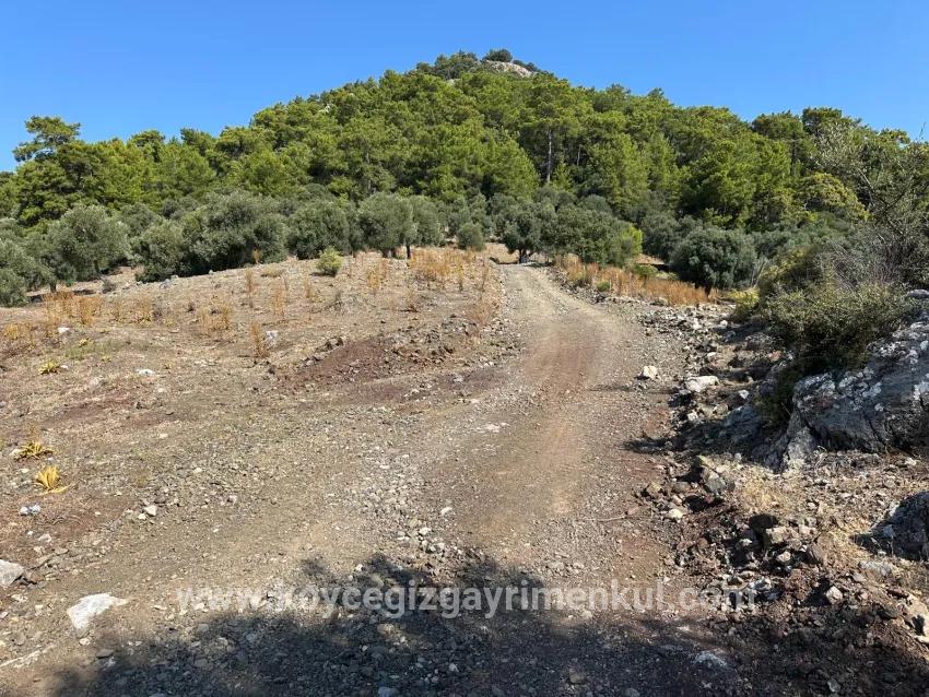 Field For Sale in Çandır Nbh. Köyceğiz - Field Zoned - 21.000 m²