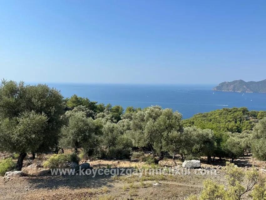 Field For Sale in Çandır Nbh. Köyceğiz - Field Zoned - 21.000 m²