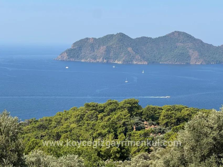 Field For Sale in Çandır Nbh. Köyceğiz - Field Zoned - 21.000 m²