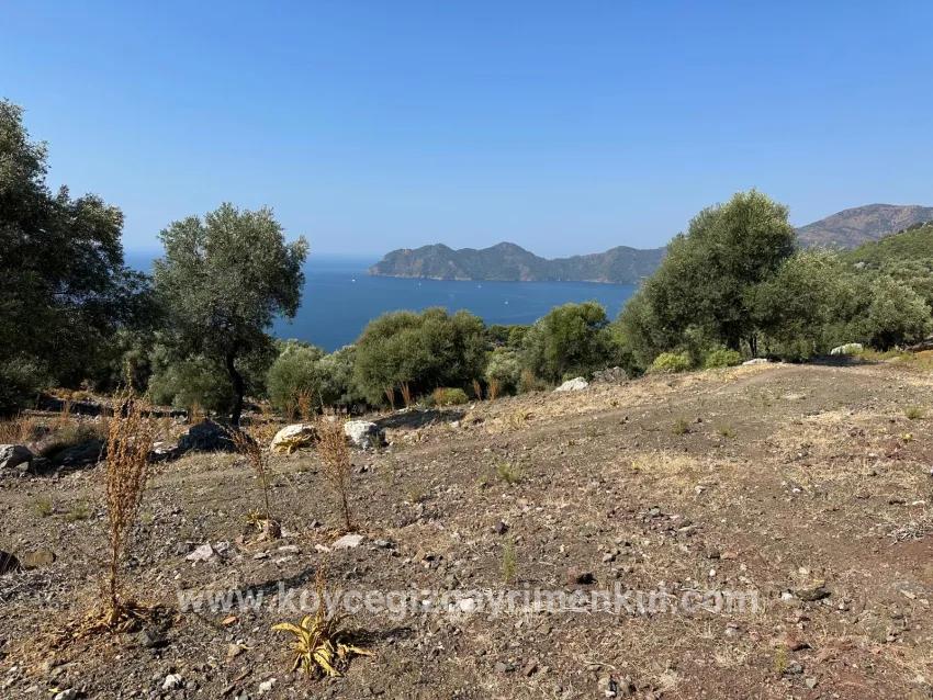 Field For Sale in Çandır Nbh. Köyceğiz - Field Zoned - 21.000 m²