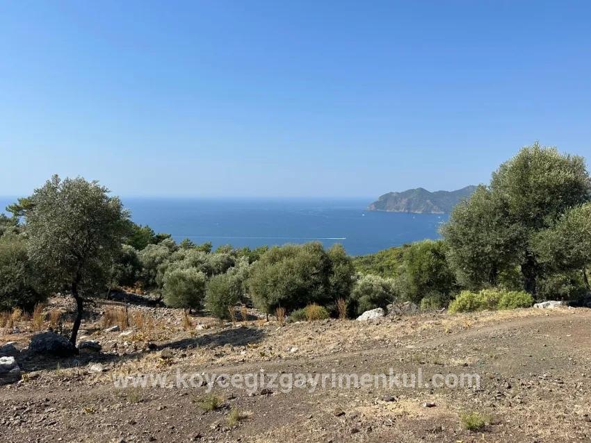 Field For Sale in Çandır Nbh. Köyceğiz - Field Zoned - 21.000 m²