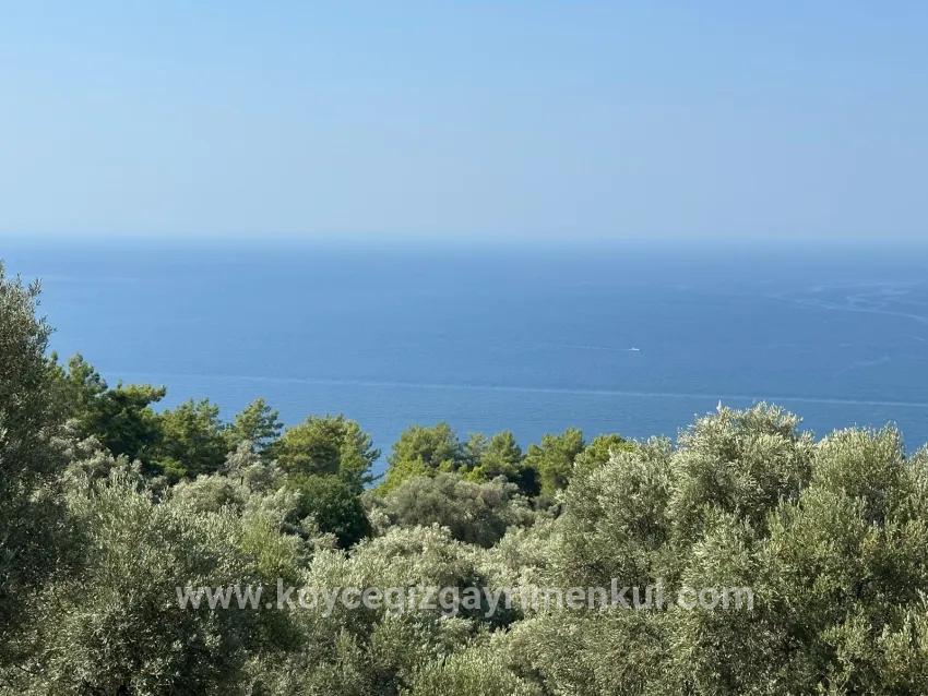 Field For Sale in Çandır Nbh. Köyceğiz - Field Zoned - 21.000 m²