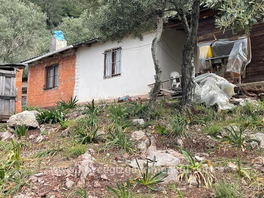 Field For Sale in Ekincik Nbh. Köyceğiz - Olive Zoned - 7.000 m²