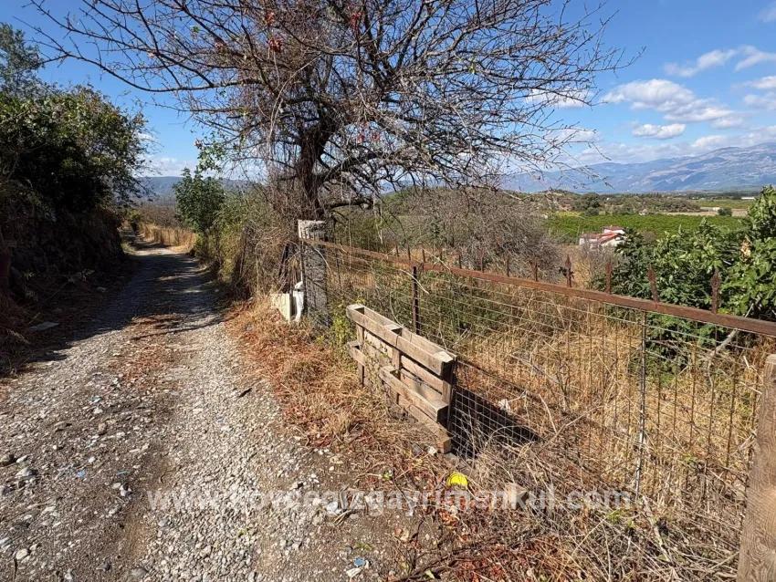 Field For Sale in Dalyan Nbh. Ortaca - Field Zoned - 5.000 m²