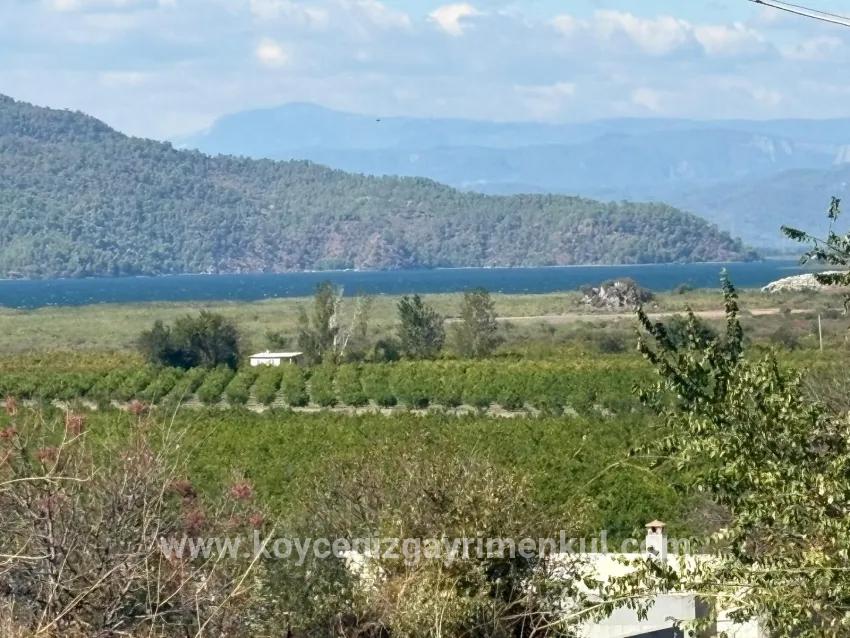 Field For Sale in Dalyan Nbh. Ortaca - Field Zoned - 5.000 m²