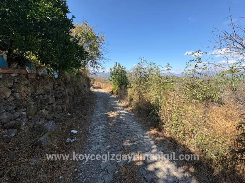 Field For Sale in Dalyan Nbh. Ortaca - Field Zoned - 5.000 m²