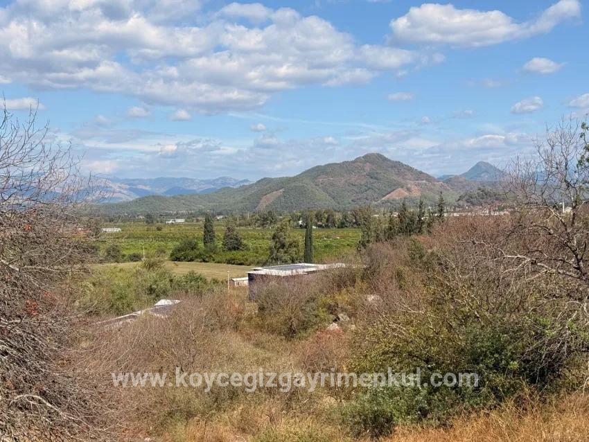 Field For Sale in Dalyan Nbh. Ortaca - Field Zoned - 5.000 m²