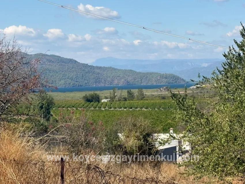 Field For Sale in Dalyan Nbh. Ortaca - Field Zoned - 5.000 m²