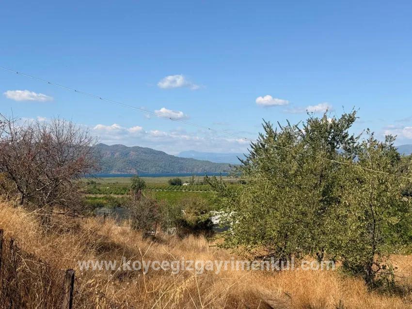 Field For Sale in Dalyan Nbh. Ortaca - Field Zoned - 5.000 m²