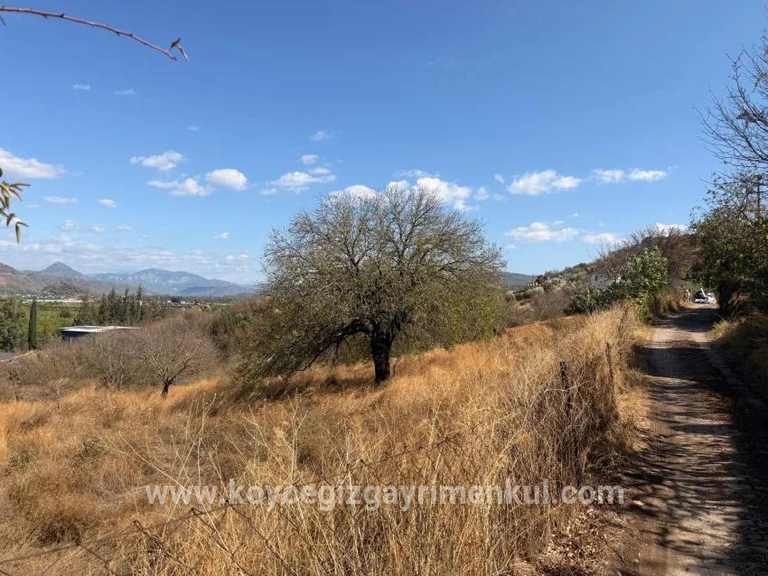 Field For Sale in Dalyan Nbh. Ortaca - Field Zoned - 5.000 m²