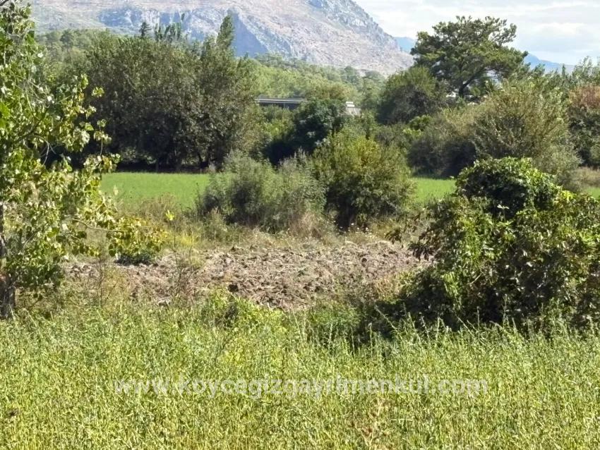 Field For Sale in Zeytinalanı Nbh. Köyceğiz - Field Zoned - 10.500 m²