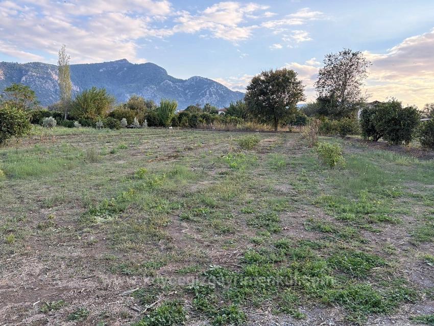 7,450 M² Plot Of Land For Sale In Dalyan With 5% Zoning.
