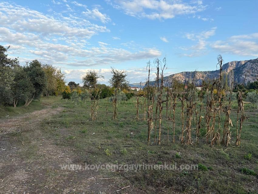 7,450 M² Plot Of Land For Sale In Dalyan With 5% Zoning.