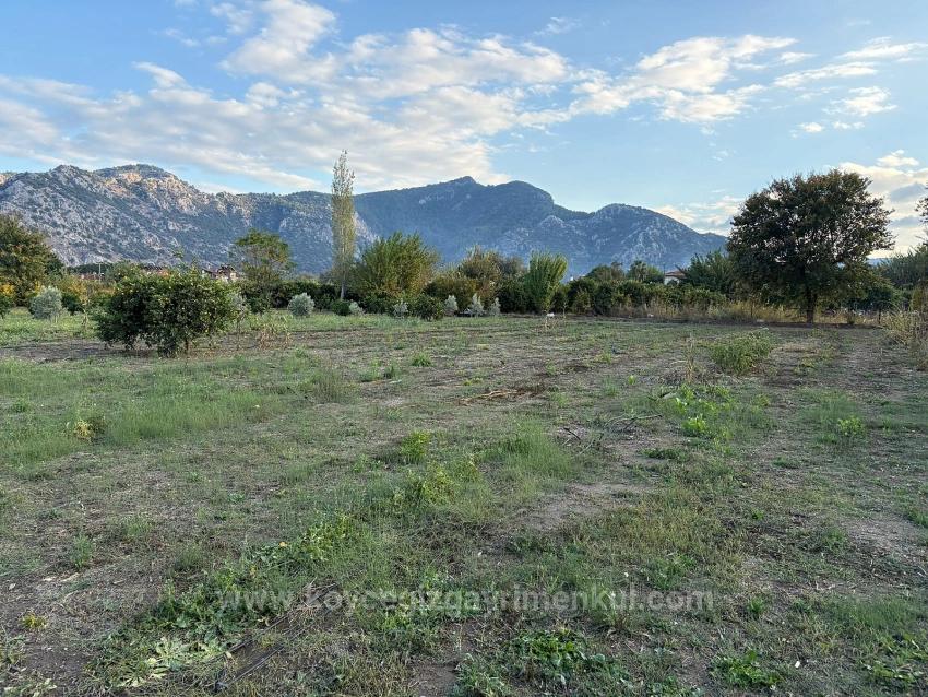 7,450 M² Plot Of Land For Sale In Dalyan With 5% Zoning.