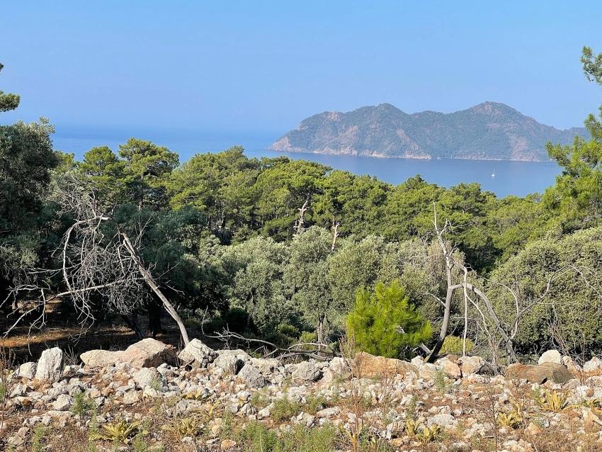 Bargain Real Estate Land For Sale With Sea View In Ekincik Çandır Arasın
