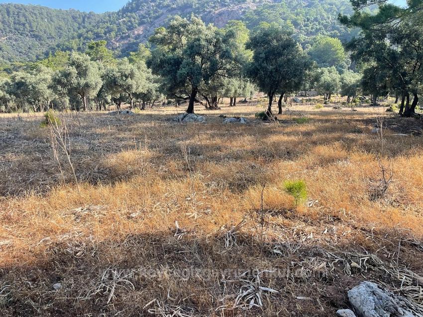 Bargain Real Estate Land For Sale With Sea View In Ekincik Çandır Arasın