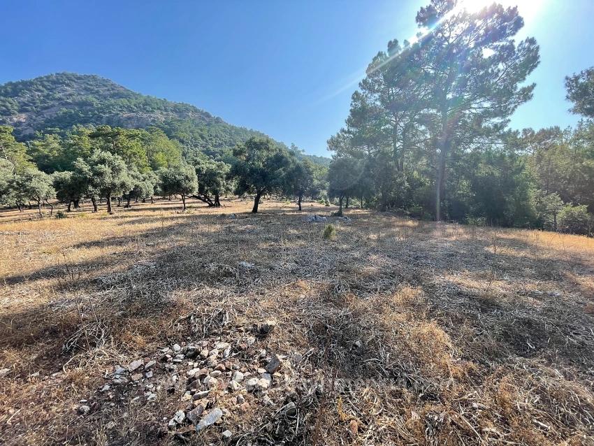 Bargain Real Estate Land For Sale With Sea View In Ekincik Çandır Arasın