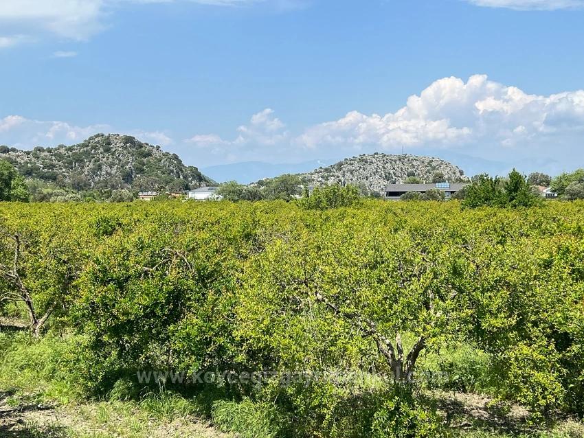 5,100 M² Plot Of Land For Sale In Dalyan, Maraş Area, Zoned For 5% Residential Use.