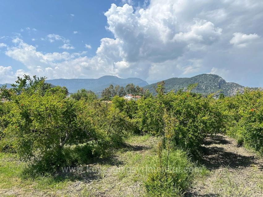 5,100 M² Plot Of Land For Sale In Dalyan, Maraş Area, Zoned For 5% Residential Use.