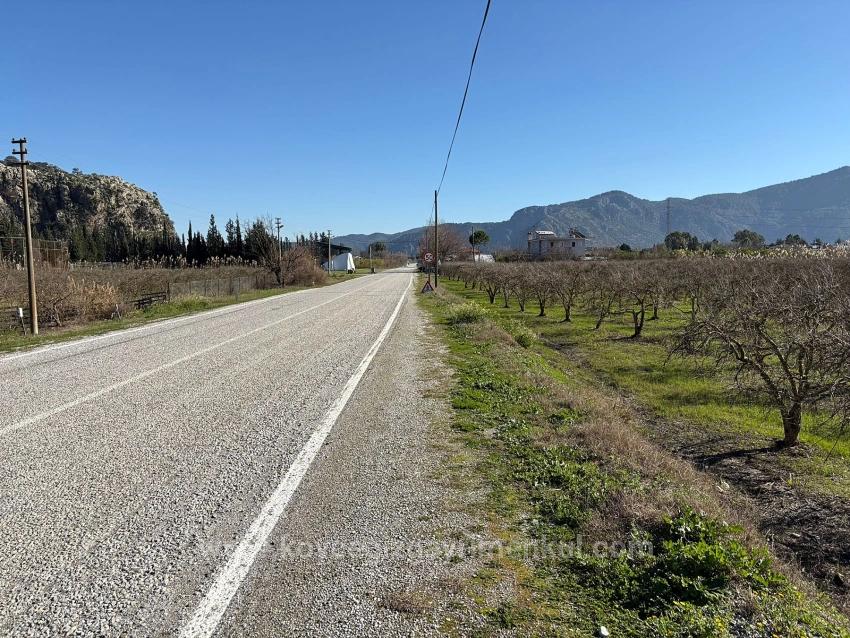 5985M2 Plot Of Land For Sale In Dalyan, Zoned For 5% Vineyard/Orchard Use.