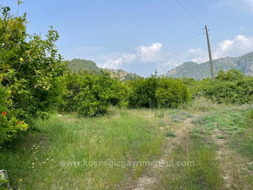 7800M2 Land For Sale In Gökbel, Next To Iztuzu Beach Road