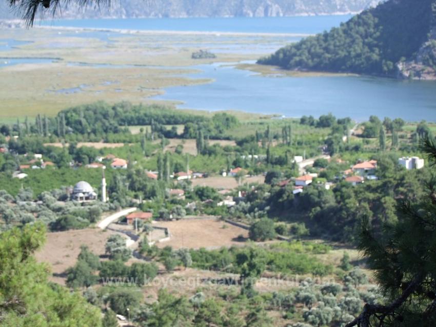 19,334 M² Plot Of Land For Sale In Çandır, Köyceğiz.