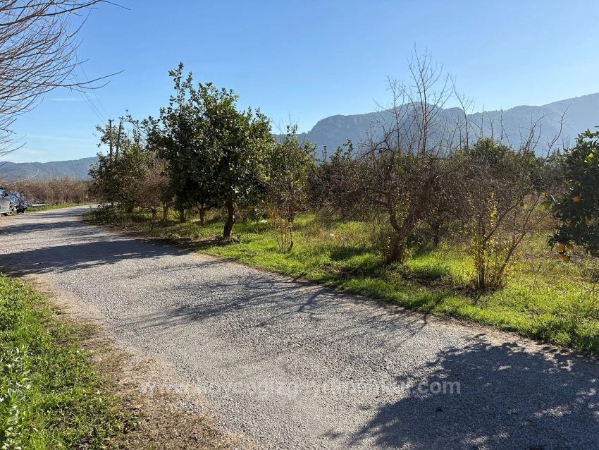 4,541 M² Garden For Sale In Dalyan.