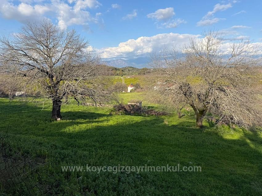 11,230 M² Plot Of Land For Sale In Dalyan With Lake View.