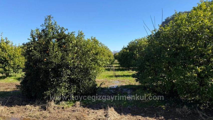 2.218M2 Land For Sale In Okçular Marmarlı