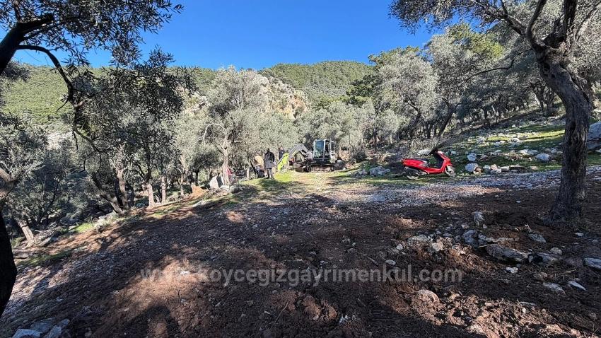 Field For Sale in Çandır Nbh. Köyceğiz - Housing Zoned - 5.715 m²