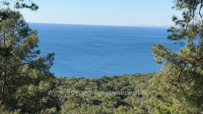 Field For Sale in Çandır Nbh. Köyceğiz - Housing Zoned - 5.715 m²
