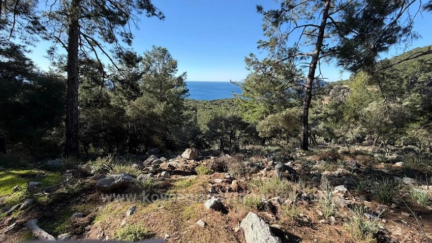 2B Field Of 5715M2 For Sale With Full Sea View In Çandır