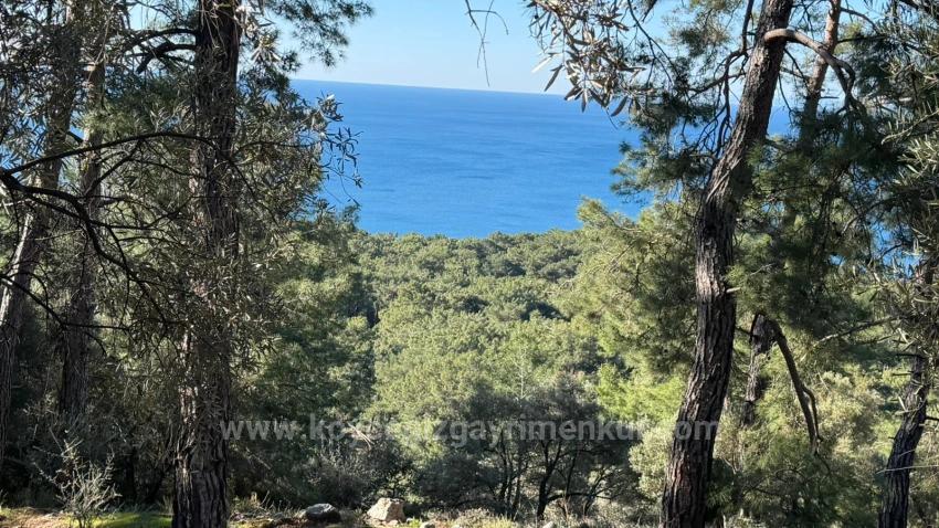Field For Sale in Çandır Nbh. Köyceğiz - Housing Zoned - 5.715 m²