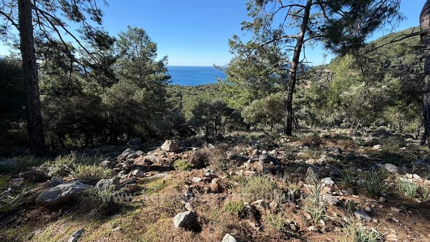 Field For Sale in Çandır Nbh. Köyceğiz - Housing Zoned - 5.715 m²