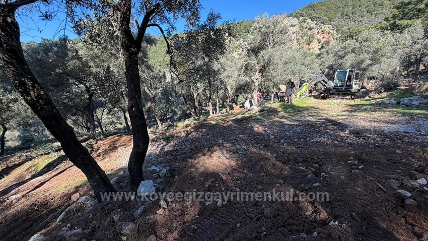 Field For Sale in Çandır Nbh. Köyceğiz - Housing Zoned - 5.715 m²
