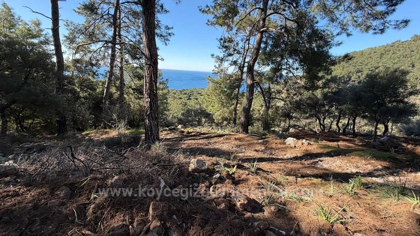 Field For Sale in Çandır Nbh. Köyceğiz - Housing Zoned - 5.715 m²