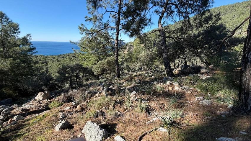 Field For Sale in Çandır Nbh. Köyceğiz - Housing Zoned - 5.715 m²