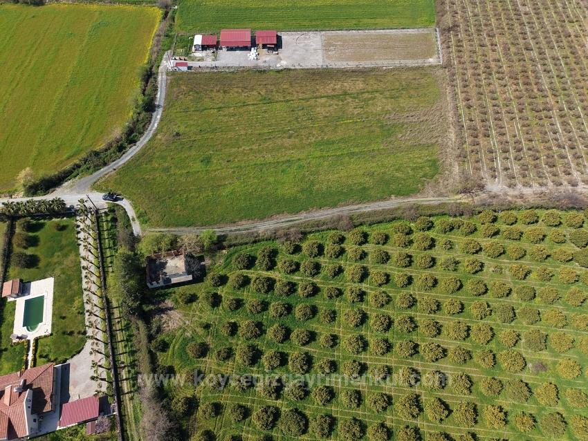 17.550M2 Vineyard-Bahce For Sale Close To Dalyan Center