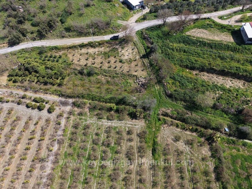 16.710M2 Pomegranate Garden For Sale With Lake View In Eskiköy