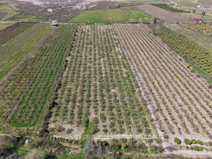 16.710M2 Pomegranate Garden For Sale With Lake View In Eskiköy