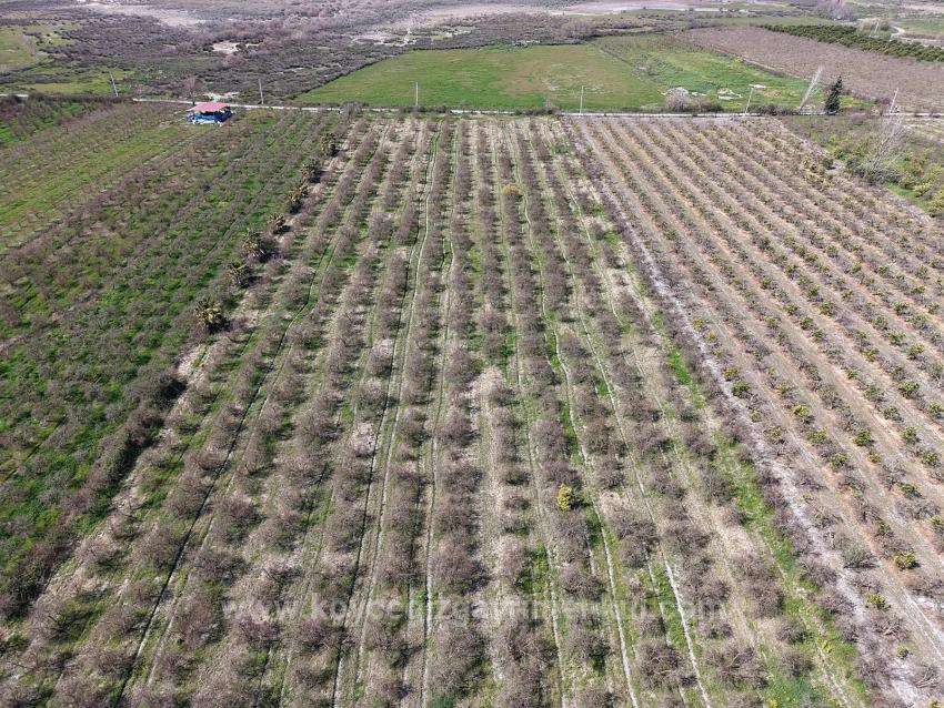 16.710M2 Pomegranate Garden For Sale With Lake View In Eskiköy